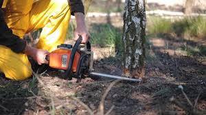 Soil Testing and Treatment in Cudahy, WI
