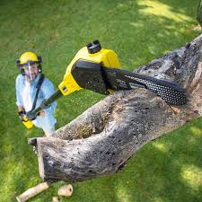 Best Utility Line Clearance  in Cudahy, WI